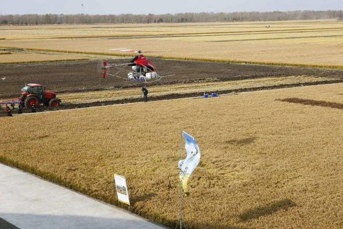 碧桂園進(jìn)軍無人化農(nóng)場 農(nóng)業(yè)技術(shù)研究的新篇章