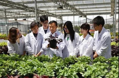 扎根濰坊大地，助力‘三農(nóng)’發(fā)展 濰坊職業(yè)學院的農(nóng)業(yè)技術研究實踐
