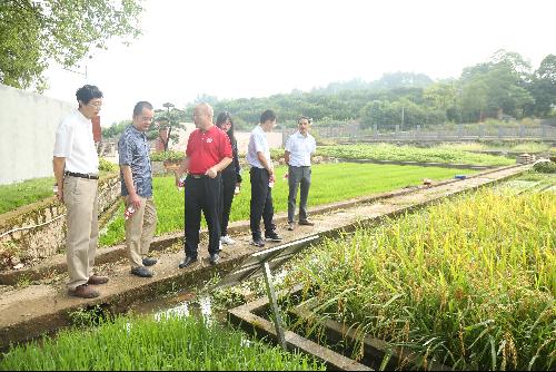 農業農村部科技發展中心調研祁陽站 聚焦前沿，共促農業技術創新發展